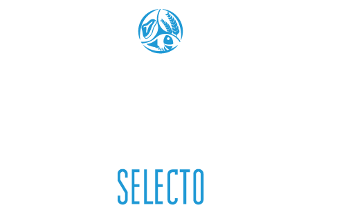 LOGO DISTRIBUIDORA NUPEC 4